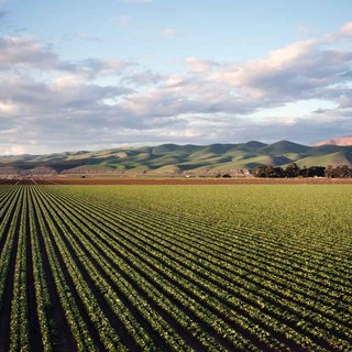 Legge di Bilancio, Confagricoltura: soddisfazione con qualche perplessità