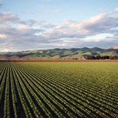 Legge di Bilancio, Confagricoltura: soddisfazione con qualche perplessità