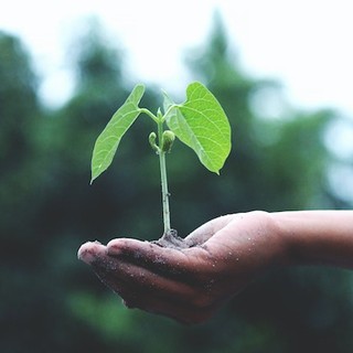 Ecomondo: La Generazione Z riconosce l'impegno del settore agricolo per una produzione più green