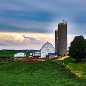 Confagricoltura: Focus lavoro di France 24 - La storia dell'imprenditore agricolo che cerca lavoratori e la carenza cronica di manodopera