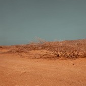 COLDIRETTI - Siccità: accelerare su piano invasi per salvare agroalimentare nazionale