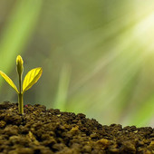 Confagricoltura: La bioeconomia circolare - sfide e opportunità per l'agricoltura e l'agroalimentare. Convegno il 25 maggio a Palazzo della Valle