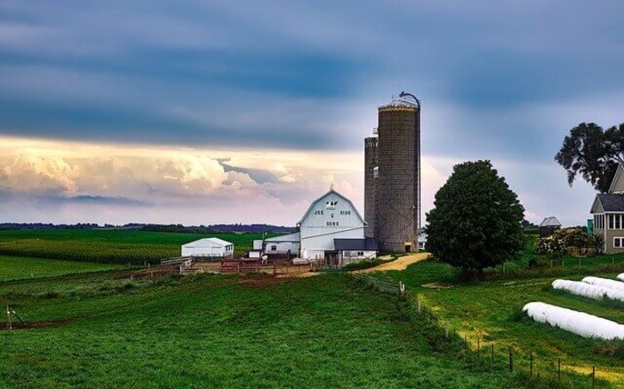 Confagricoltura: Focus lavoro di France 24 - La storia dell'imprenditore agricolo che cerca lavoratori e la carenza cronica di manodopera