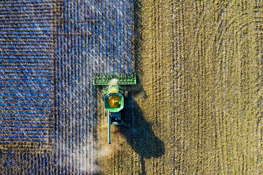 Anticipo PAC 2024: Lombardia sostiene 25.000 aziende agricole con oltre 183 milioni di euro