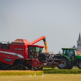 Accordo Mercosur: una minaccia per l’agricoltura europea e italiana