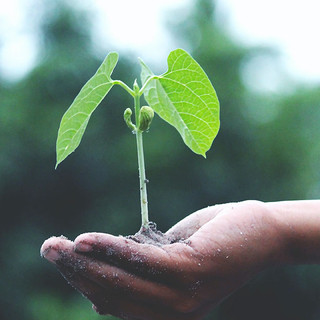 5 giugno 2023 - Giornata Mondiale dell'Ambiente