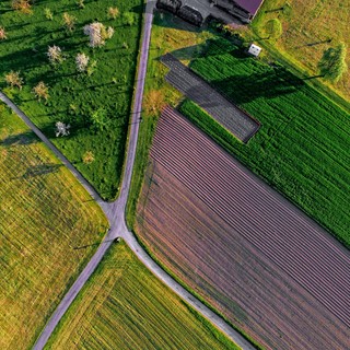 Legge Sabatini, Confagricoltura: Nuovi interventi di finanza agevolata per garantire gli investimenti in agricoltura