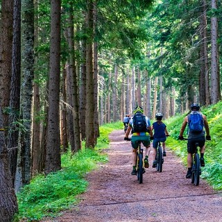 Agriturist: Cicloturismo in forte crescita. L'associazione presente a Bologna alla fiera dedicata al turismo su due ruote