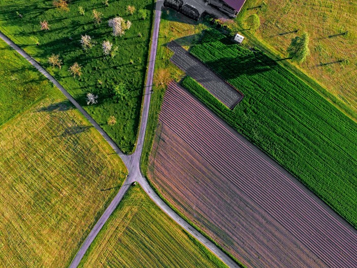 Legge Sabatini, Confagricoltura: Nuovi interventi di finanza agevolata per garantire gli investimenti in agricoltura