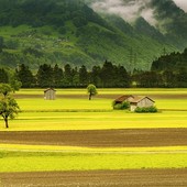 Giornata mondiale del turismo: Agriturist celebra i risultati dell'estate all'insegna della sostenibilità