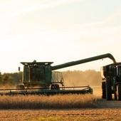 Agricoltura sociale: Al via il bando 2023 per sostenere progetti d'inclusione