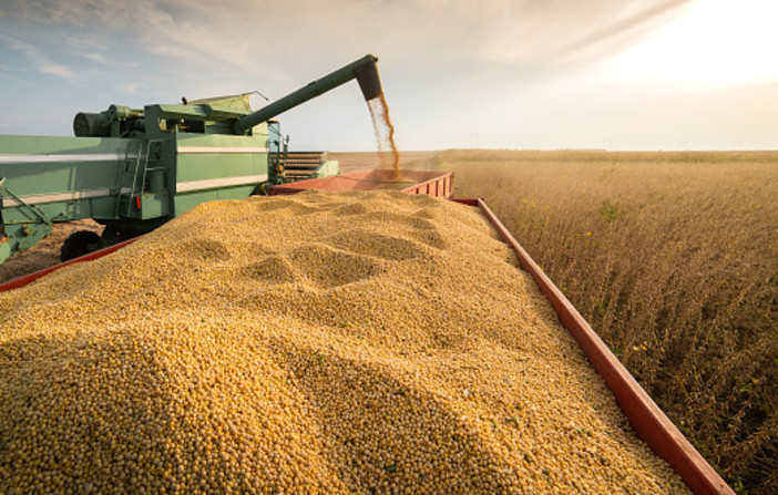 Clima, produttività, energia, aviaria, reddito e ricambio generazionale: le emergenze e le sfide delle imprese agricole per il 2025