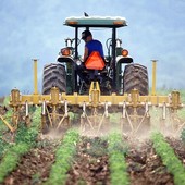 Giovani agricoltori da tutta Europa a Firenze per un Simposio organizzato dall'ANGA (13,14 e 15 giugno)