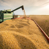 Agricoltura e credito: Rafforzare il dialogo per accompagnare le imprese nello sviluppo sostenibile