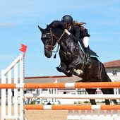 Fieracavalli 2023: Confagricoltura presente a Verona con le sue aziende, due spazi espositivi, incontri e iniziative