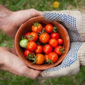 Meeting Rimini, il presidente di Confagricoltura Giansanti all’incontro “Food security e sostenibilità: cooperare per crescere”