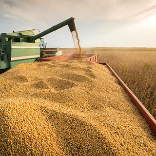 Clima, produttività, energia, aviaria, reddito e ricambio generazionale: le emergenze e le sfide delle imprese agricole per il 2025