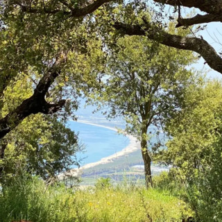 Dal Kalabria coast to coast a Tropea