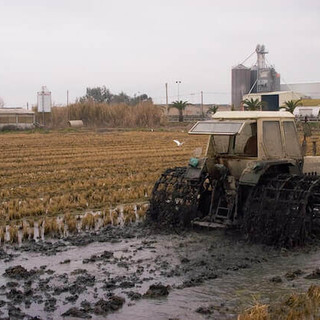 Emilia Romagna sconvolta dall'alluvione: dolore e paura anche per le aziende agricole devastate. Il presidente Giansanti ospite a Porta a Porta su Rai 1.