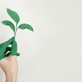 Comunicazione e pericolo greenwashing: il panorama aziendale e lo scenario normativo italiano ed europeo