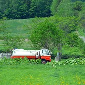 “Made in Italy penalizzato dal dimezzamento dei fitofarmaci”