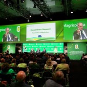 Confagricoltura “Serve una politica europea sostenibile e competitiva”