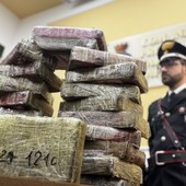 Napoli, sequestro record di oltre 80 kg di cocaina. Due in manette